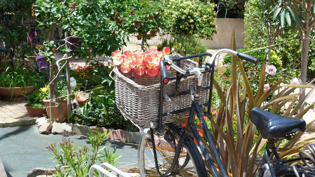 Cap D'Agde Studio - Village Naturiste Exteriör bild